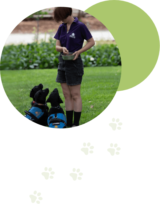 Dog trainer